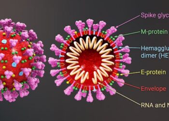 How RFK Jr.’s misguided science on mRNA vaccines is shaping policy − a vaccine expert examines the false claims