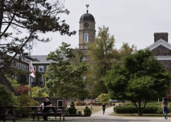 How universities can become neuro-inclusive — and what can help autistic students thrive