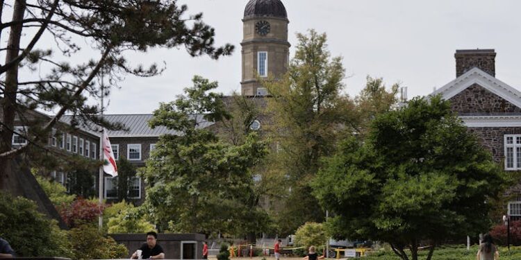 How universities can become neuro-inclusive — and what can help autistic students thrive