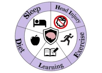 SHIELD: A simple, memorable model to help prevent Alzheimer’s disease and dementia