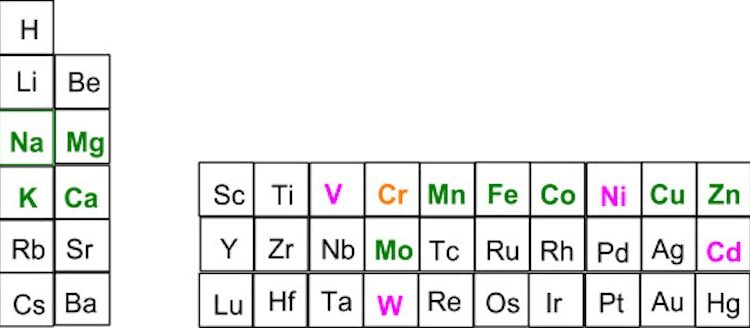 Why chromium is considered an essential nutrient, despite having no proven health benefits