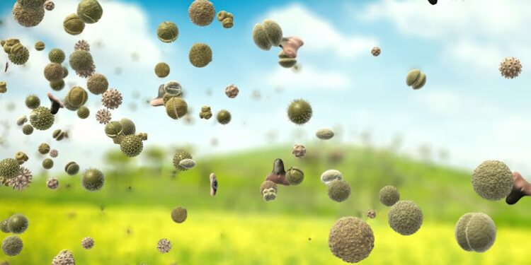 Seasonal allergies may increase suicide risk – new research