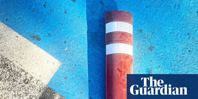 ‘Bike lanes are great – I hope these issues get resolved’: Rafael Escobedo de la Riva’s best phone picture