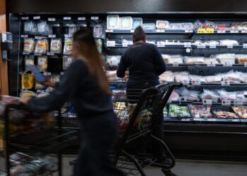 SNAP benefits have been cut and disrupted – causing more kids to go without enough healthy food and harming child development