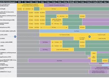 RFK Jr. wants to scrutinize the vaccine schedule – but its safety record is already decades long