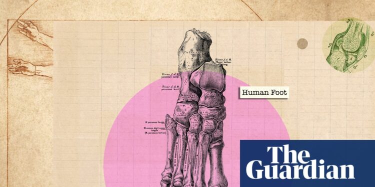 ‘We stick them in shoes and forget about them’: how to really look after your feet