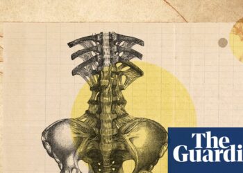 ‘The best movement is the next movement’: how to really look after your lower back