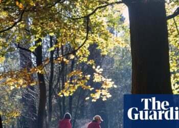 Five minutes more exercise and 30 minutes less sitting could help millions live longer