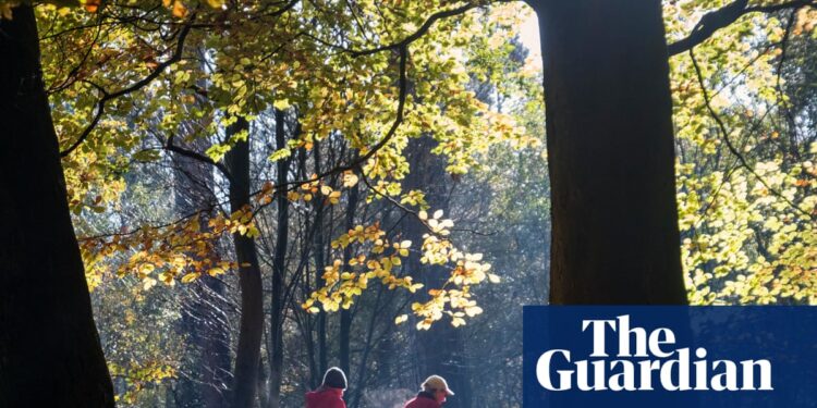 Five minutes more exercise and 30 minutes less sitting could help millions live longer