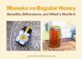 Manuka Honey vs Regular Honey: Benefits, Differences, and What’s Worth It