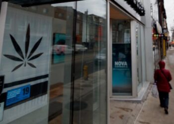 Dry January, T-breaks and the myth of willpower: An alternative reset in the New Year