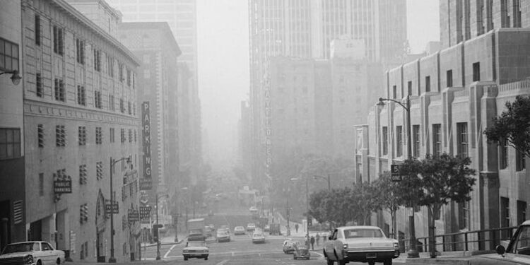 What air pollution does to the human body