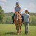 Equine Therapy for Multiple Sclerosis: Hippotherapy’s Impacts and Evidence