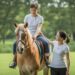 Horses and Cerebral Palsy Therapy: Hippotherapy for Motor Gains