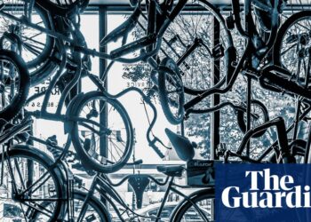 ‘I’d hoped to capture the graphic chaos in the window. What I found was an even more tangled scene’: Michael Krupka’s best phone picture