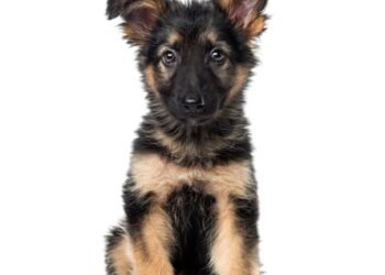 Wickes kitchen fitting was a recipe for disaster