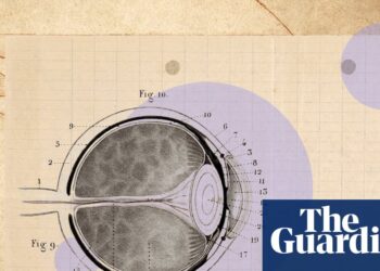 ‘Green time over screen time’: how to really look after your eyes