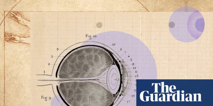 ‘Green time over screen time’: how to really look after your eyes