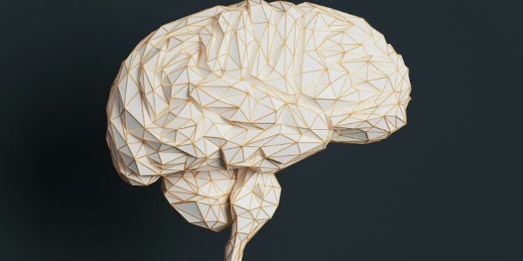 Brain injury is almost 10 times more common in unhoused people. Addressing it is key to reducing homelessness