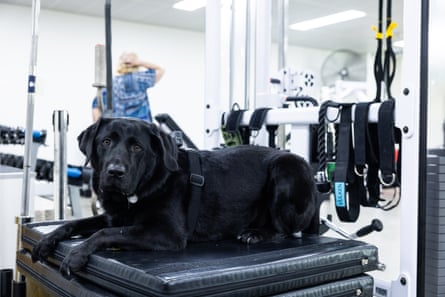 Therapy dog Marcus at Cancer Fit