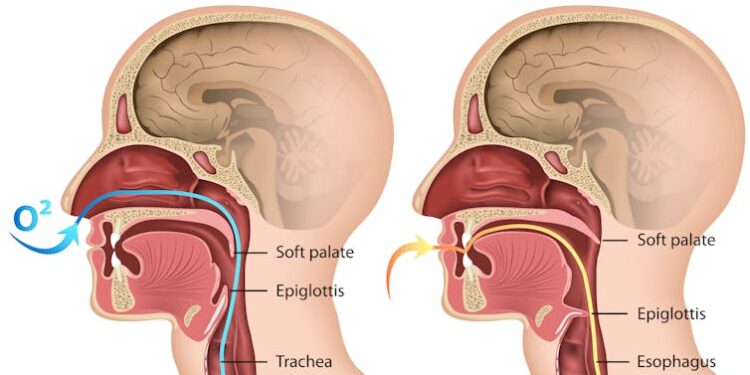 Why many older adults skip hard candy – how aging can change chewing and swallowing