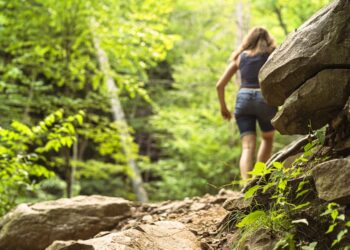 Ticks are the backyard threat southwestern Pennsylvania homeowners keep ignoring
