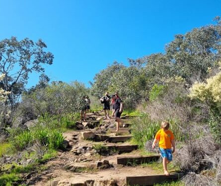 The unlikely appeal of barefoot hiking: ‘It makes you feel quite primal’
