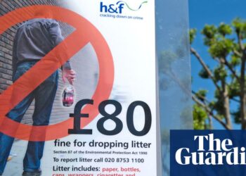My son was fined £500 just for dropping a cigarette butt