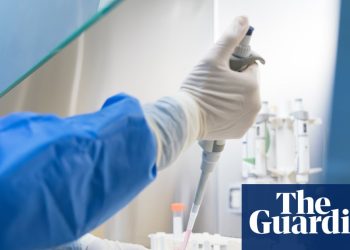 ‘Traceability is vital’: labs test thousands of unregulated substances amid peptide craze
