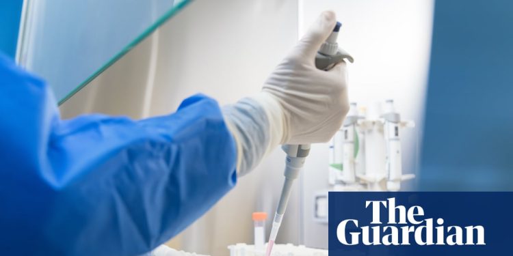 ‘Traceability is vital’: labs test thousands of unregulated substances amid peptide craze