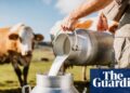 Making a splash: demand for raw and ‘brewed’ milk growing in UK