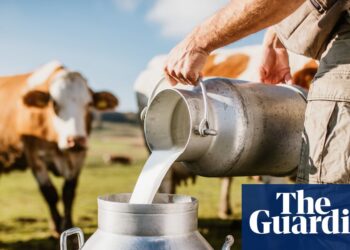 Making a splash: demand for raw and ‘brewed’ milk growing in UK