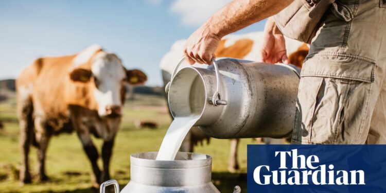 Making a splash: demand for raw and ‘brewed’ milk growing in UK