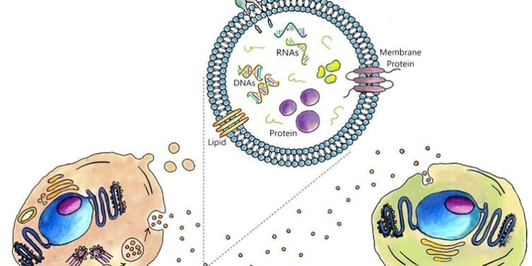 New test promises to detect cancer earlier — from tiny particles in bodily fluids