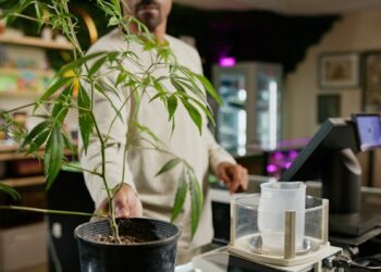 Reclassification of marijuana opens doors for much-needed medical research into the benefits and risks of the drug