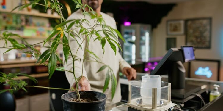 Reclassification of marijuana opens doors for much-needed medical research into the benefits and risks of the drug