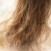 Why Is My Hair So Dry and Brittle? Causes, Solutions & Prevention