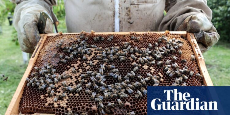 Readers reply: Which organisms are most beneficial to humans without us realising?