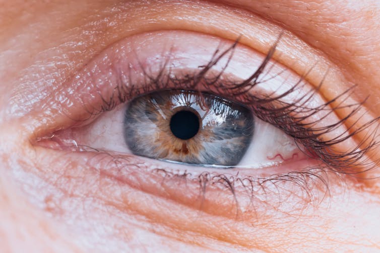 Close-up of a human eye showing detailed iris, pupil and eyelashes.