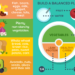 Macros 101: The Simple Nutrition Framework That Helps You Lose Weight, Boost Energy, and Control Cravings