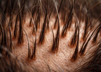 The Truth About Hair Growth Products: Evidence, Safety & Best Picks