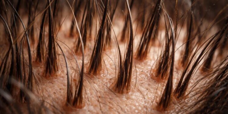 The Truth About Hair Growth Products: Evidence, Safety & Best Picks