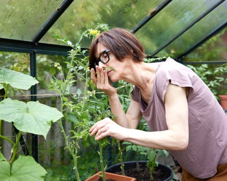 Emma Beddington smelling tomato plants in a greenhouse