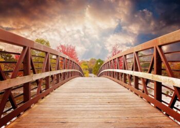 Why more doctors are validating near-death experiences