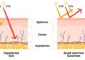 First new US sunscreen ingredient since 1999 approved by FDA – a skin scientist explains how bemotrizinol works
