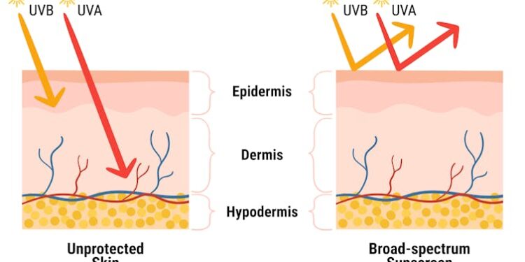 First new US sunscreen ingredient since 1999 approved by FDA – a skin scientist explains how bemotrizinol works