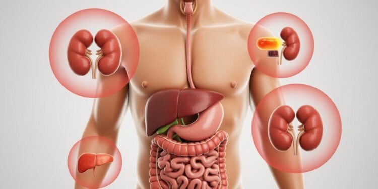 Discover the Risks Lurking in Your Body: Hidden Health Dangers and Early Warnings