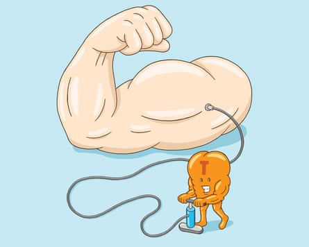 Hormones on the brain? Everything you need to know about HRT, testosterone, melatonin and more