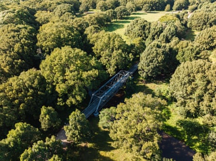 Aerial view of a rail trail surrounded by trees