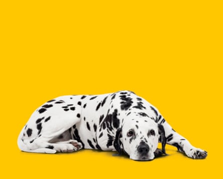13 surprising reasons you’re always dog tired – and what to do about it